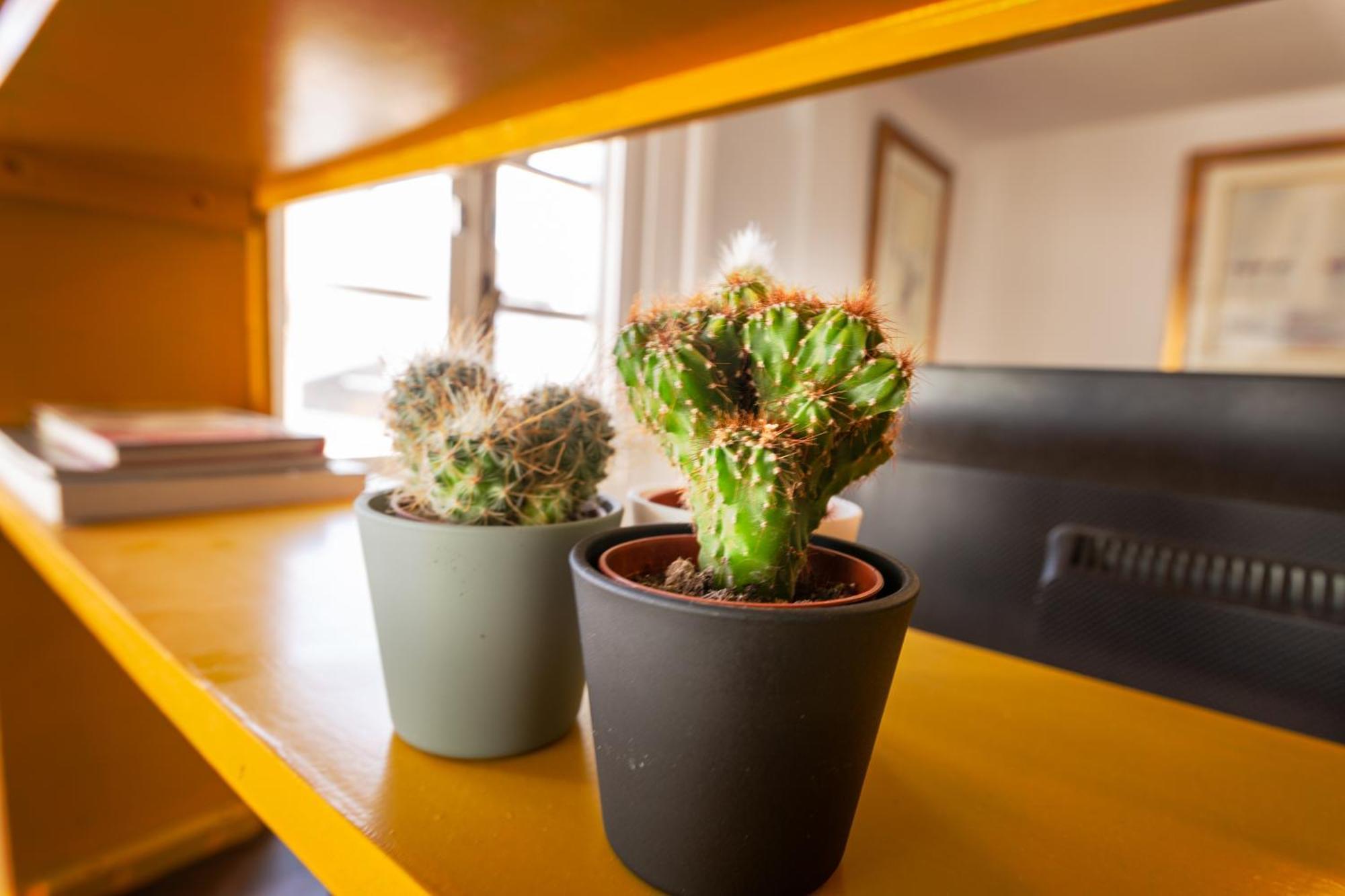 Duquesa Port Studio Apartment - Bright Sunlit Terrace มานิลบา ภายนอก รูปภาพ
